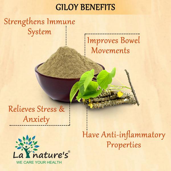 La nature's Giloy 500 mg Capsule 60's - Herbal Dietary Supplement