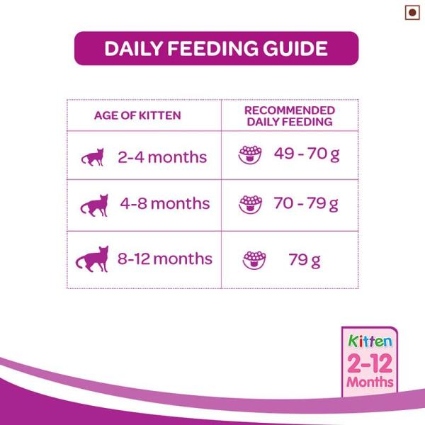 Whiskas Junior Mackerel Flavor 450 gm - Petfood