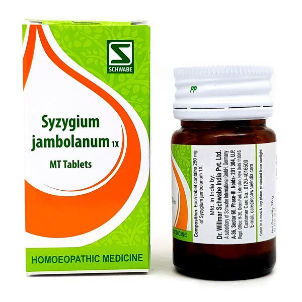 Netmeds | Dr. Willmar Schwabe Syzygium Jambolanum 1X Tablet 20 gm