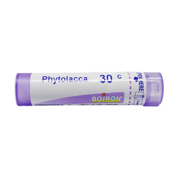 Netmeds | Boiron Phytolacca 30C Multi Dose PELLETS 4 GM