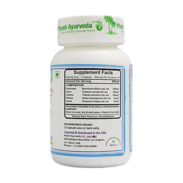 Planet Ayurveda Rencure Formula Capsules 60's - Speciality Medicines