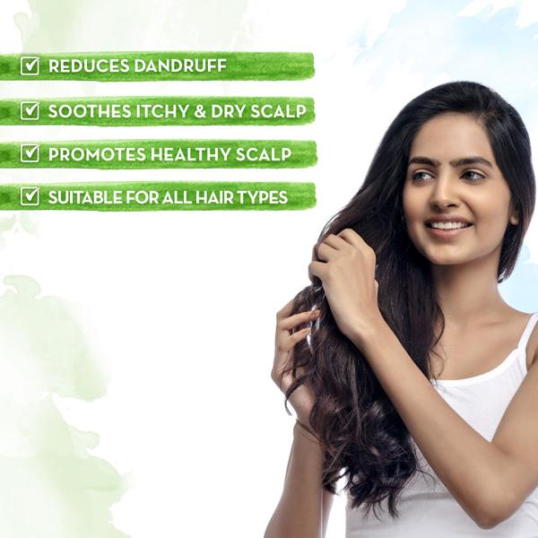 Mamaearth Hair Oil - Tea Tree 250 ml - Hair Oils