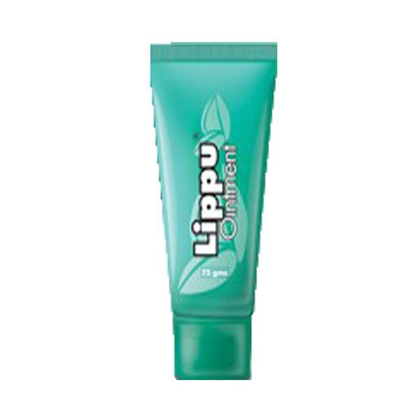 Netmeds | Dr. JRK Lippu Ointment 75 gm