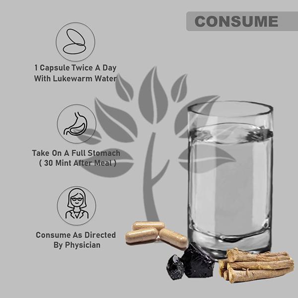 Naturrel Shilajit & Ashwagandha Extract Capsule 50's + Free 10's - Ashwagandha