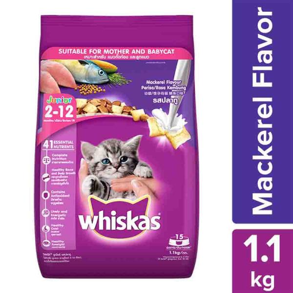 Netmeds | Whiskas Junior Mackerel Flavor 1100 gm