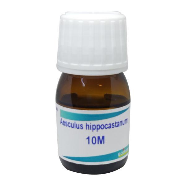 Netmeds | Boiron Aesculus Hippocastanum 10M Liquid 20 ml