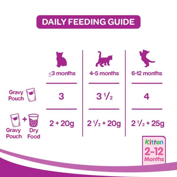 Whiskas Kitten Chicken in Gravy (Pack of 85gm x 12) 1020 gm - Petfood