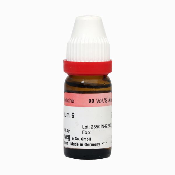 Dr. Reckeweg Cholesterinum 6 Liquid 11 ml - Dilutions