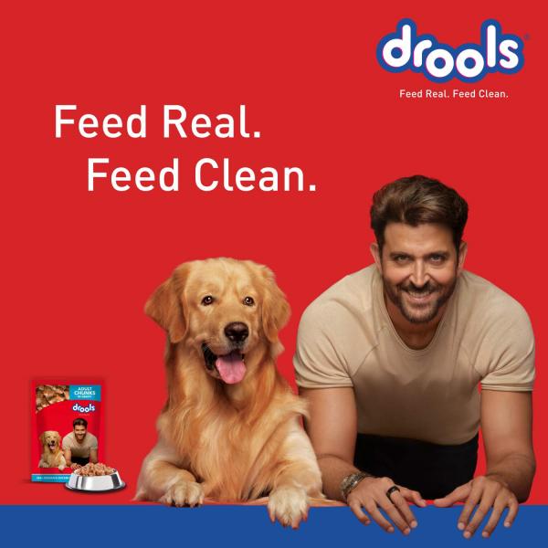 Drools Adult Wet Dog Food, Real Chicken and Chicken Liver Chunks in Gravy, 15 Pouches (15 x 150g) 2250 gm - Petfood