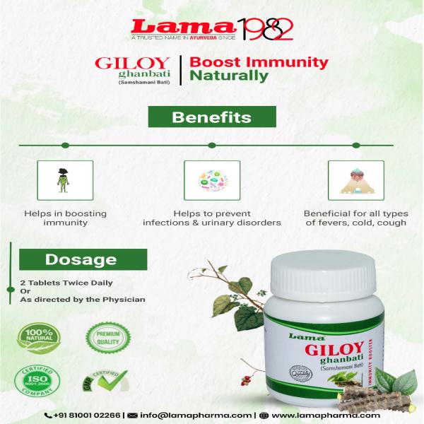 Lama Giloy ghanbati Tablet 60's - Giloy