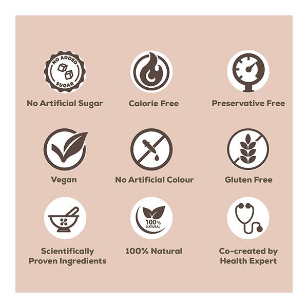 She Need Plant Based Daily Women's Protein Drink - Chocolate Flavour 300 gm - Protein Drink