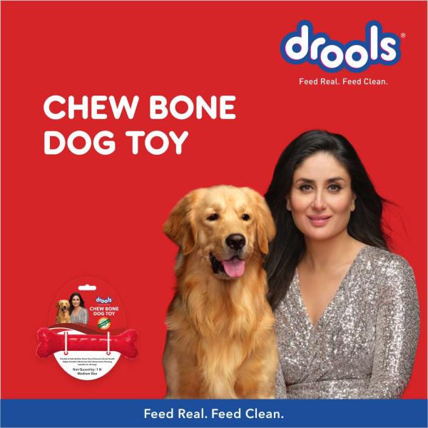 Drools Non-Toxic Rubber Dog Chew Bone Toy, Puppy/Dog Teething Toy (Medium) - 5 inches 1's - Pet accessories