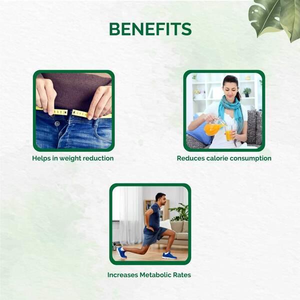 Dr. Vaidya's Weight Reduction Pack - Speciality Medicines