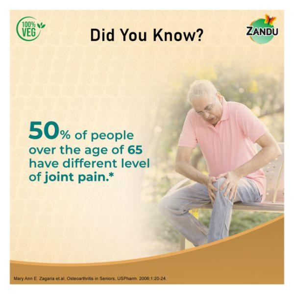 Zandu Seniorz Dual Action Pain Relief Oil 200 ml - Pain Relief (Ayush)