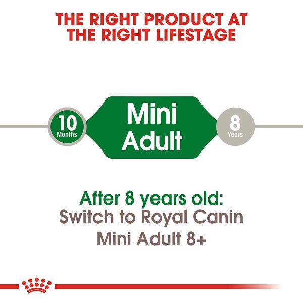 Royal Canin Mini Adult Dog Food - (All Small Dogs Upto 10 kg) 4 kg - Petfood