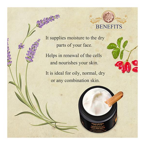 Bioayurveda Basics Nourishing Lift Night Face Creme 120 gm - Night Cream