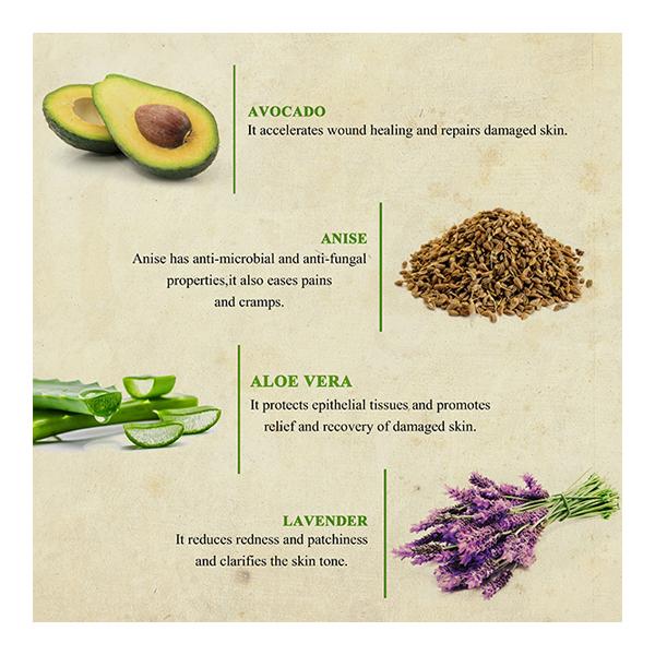 Bioayurveda Basics Avocado Intense Restore Hand Creme 120 gm - Hand Creams
