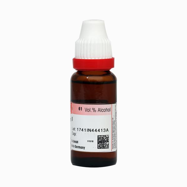 Dr. Reckeweg Arnica Ø Liquid 20 ml - Dilutions
