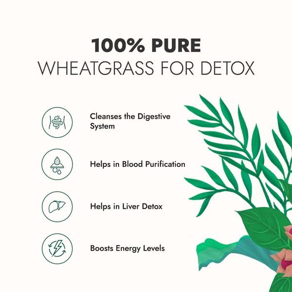 Kapiva Wheat Grass Juice 1 ltr - Ayurvedic Juices