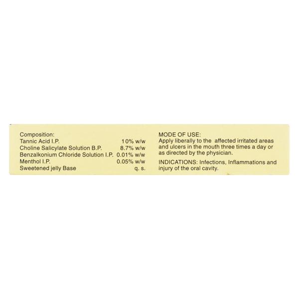 SMILOGEL MOUTH ULCER Gel 10gm - Oral Care - P-Mou