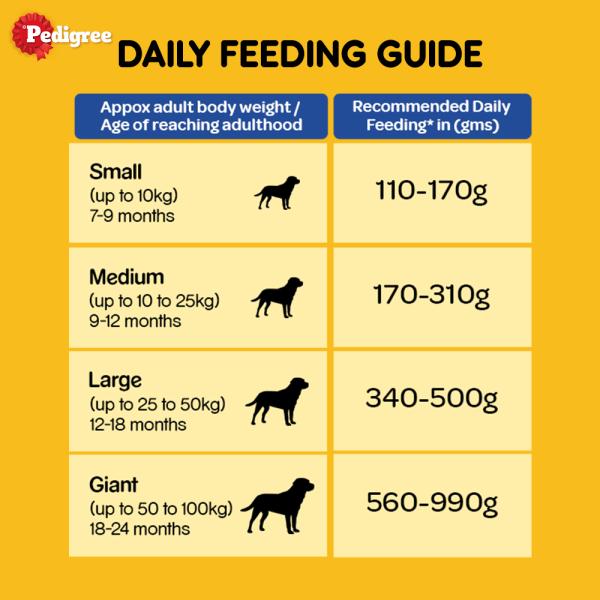 Pedigree Adult Chicken & Vegetables 1 kg - Petfood