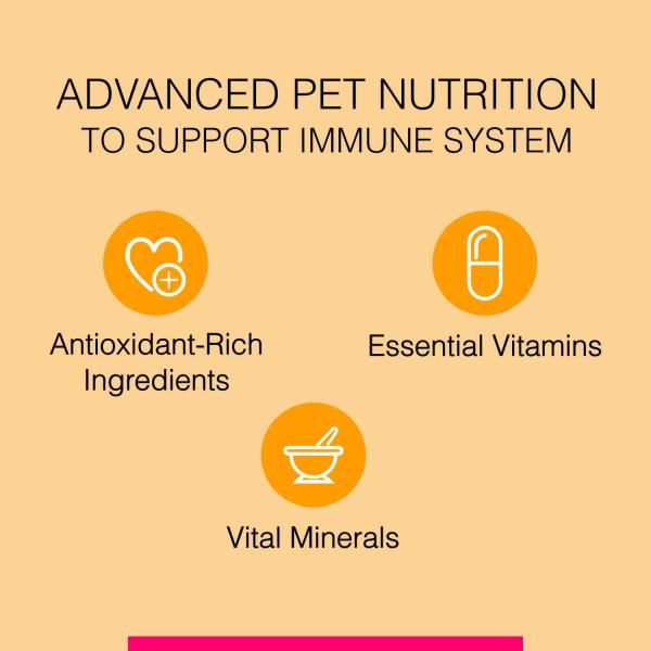 Canine Creek Puppy Dry Dog Food, Ultra Premium 4000 gm - Petfood