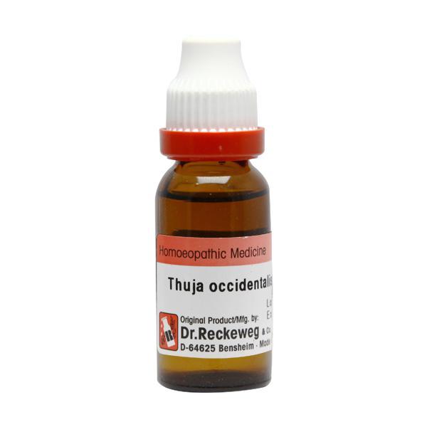 Dr. Reckeweg Thuja Occidentalis  Liquid 20 ml - Mother Tincture