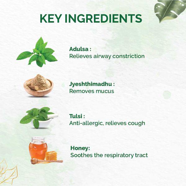 Dr. Vaidya's Tulsi- Ginger Cough Syrup (Pack of 4 x 100 ml) - Cough & Cold (Ayush)