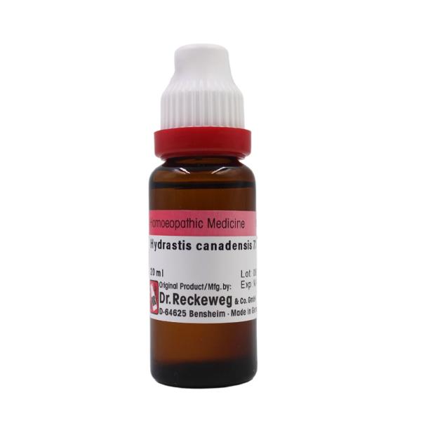 Dr. Reckeweg Hydrastis Canadensis 7X Liqiud 20 ml