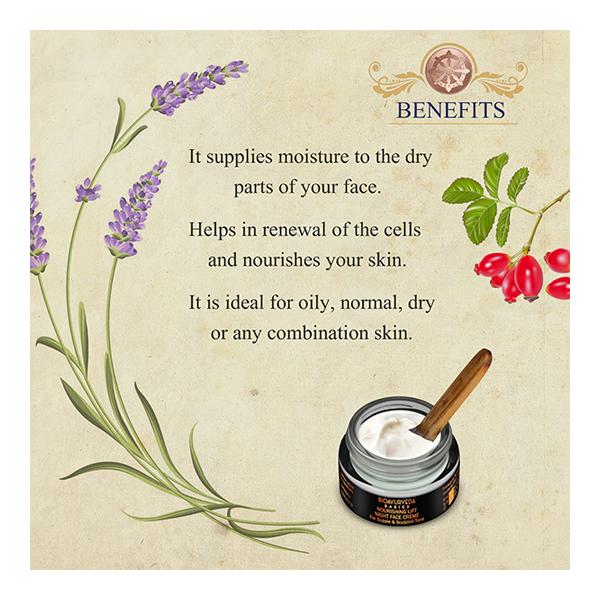 Bioayurveda Basics Nourishing Lift Night Face Creme 20 gm - Night Cream