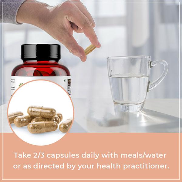 Rooted Active Naturals Reishi Mushroom Veg Capsule 120's - Pure Herbs