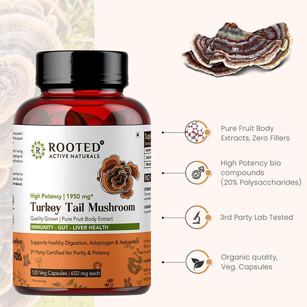 Rooted Active Naturals Turkey Tail Mushroom Veg Capsule 120's - Pure Herbs