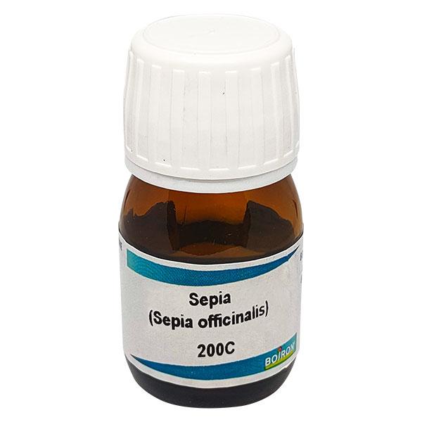Netmeds | Boiron Sepia 200C Liquid 20 ml