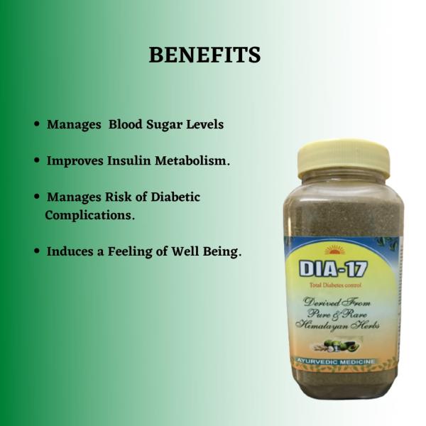HASS Dia-17 Powder 240 gm - Speciality Medicines