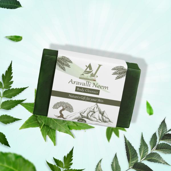 Aravalli Neem Body Cleanser 125 gm - Personal Care (Ayush)