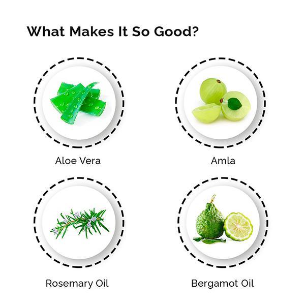Greenberry Organics Daily Mild Shampoo 200 ml - Shampoos