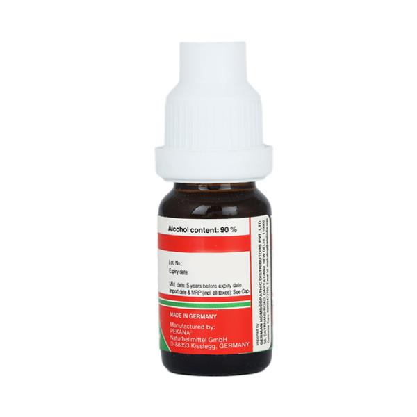 Adel Plumbum Iod. 30 Liquid 10 ml - Dilutions