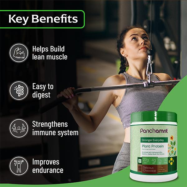 Panchamrit Plant Protein (Pea & Brown Rice Protein) - Delicious Chocolate 1 kg - Protein Drink
