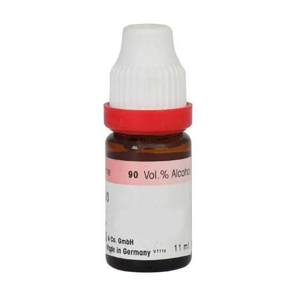 Dr. Reckeweg Terebinthina Oleum 30 Liquid 11 ml - Dilutions