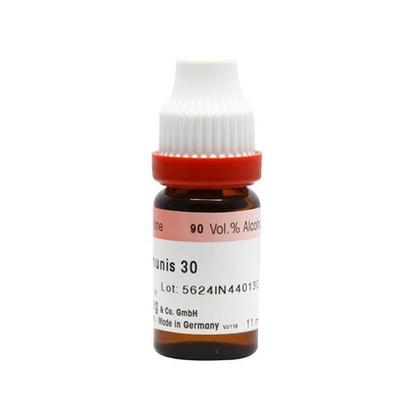 Dr. Reckeweg Ricinus Communis 30 Liquid 11 ml - Dilutions