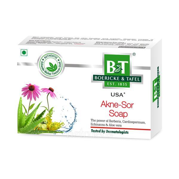 Netmeds | Dr. Willmar Schwabe B&T Akne Sor Soap 75 gm