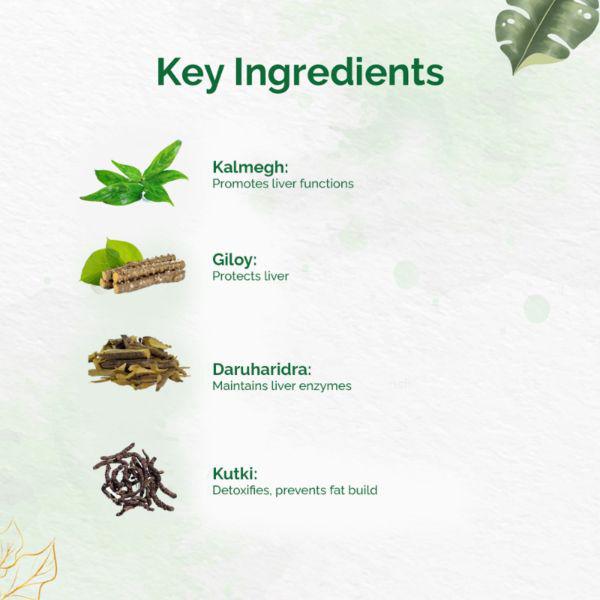 Dr. Vaidya's Liver Care Capsule 30's - Speciality Medicines