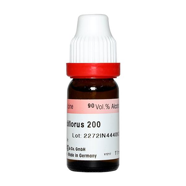 Dr. Reckeweg Cactus Grandiflorus 200 Liquid 11 ml - Dilutions