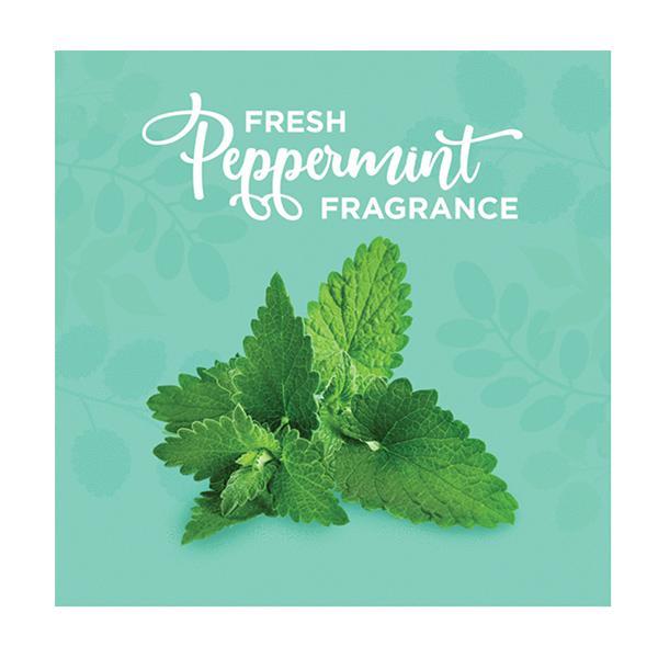 Palm Safe Alcohol-Free Foam Hand Sanitizer 60 ml - Hand Sanitizer