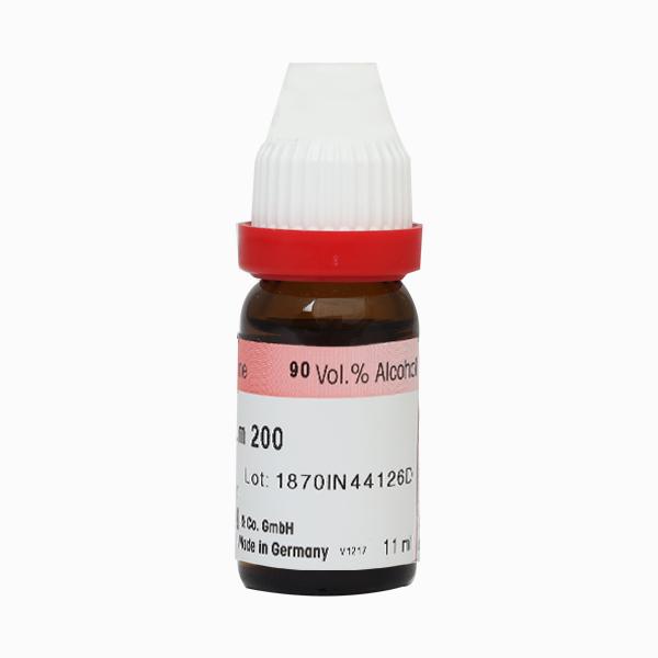 Dr. Reckeweg Arum Triphyllum 200 Liquid 11 ml - Dilutions