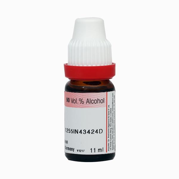 Dr. Reckeweg Agnus Castus 1M Liquid 11 ml - Dilutions