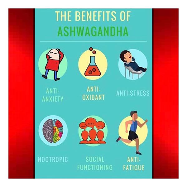 Vubasil Ashwagandha 800 mg Capsule 60's - Ashwagandha