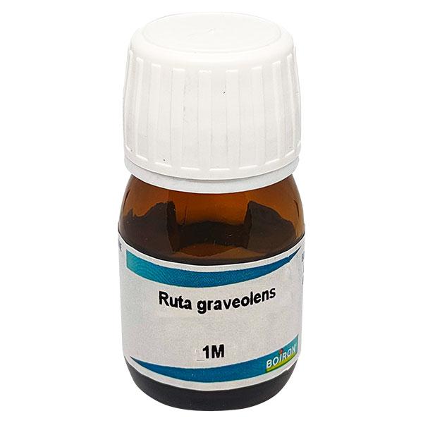 Netmeds | Boiron Ruta Graveolens 1M Liquid 20 ml