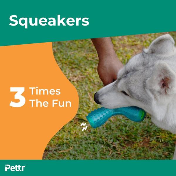 Pettr Chatter Toy for Dogs 1's - Pet accessories