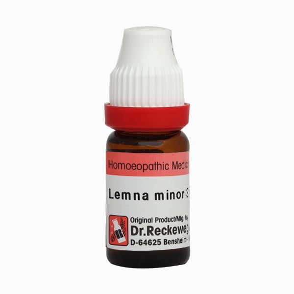 Netmeds | Dr. Reckeweg Lemna Minor 30 Liquid 11 ml